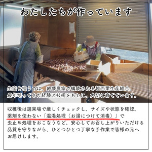 哲西栗（生栗）3kg 【先行予約 2026年10月から順次発送】