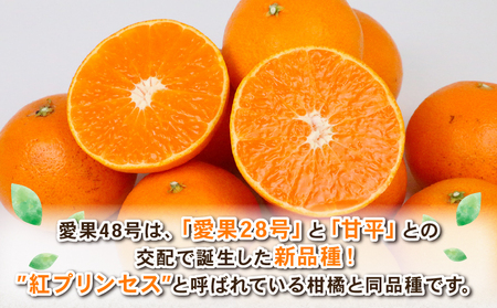 愛果48号 新品種 約4kg M~3L サイズ Shirai.agrifarm 先行予約 高級柑橘 みかん 愛媛ミカン 愛媛蜜柑 mikan 柑橘 果物 愛果28号 甘平 くだもの フルーツ 高級 ブ