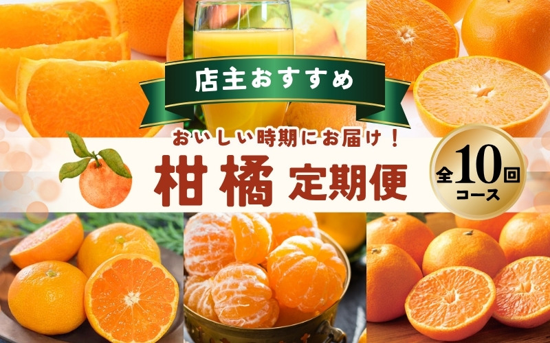 みかん【全10回】 柑橘 定期便 石本果樹園 店主おすすめの柑橘セットをお届け！ / フルーツ 果物 くだもの 柑橘 フルーツ定期便 くだもの定期便 定期便 フルーツセット くだものセット みかん ミカン 温州みかん 不知火 せとか セミノール ポンカン カラマンダリン 甘夏 清見 オレンジ ジュース みかんジュース 果実飲料 産地直送 旬 人気 おすすめ 詰め合わせ お楽しみ 三重県 紀宝町  【tkb509】