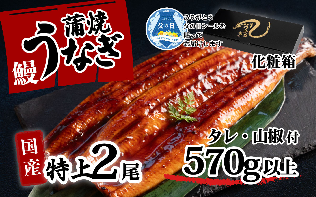 【 父の日ギフト 】【化粧箱入り】特上 国産うなぎ 蒲焼 2尾セット 【合計570g以上】 タレ・山椒付 ウナギ 鰻 うな重 ひつまぶし 人気 茨城 八千代町 ふるさと納税 冷凍 父の日 ギフト 化粧箱