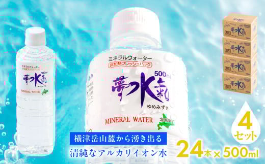 ミネラルウォーター夢水氣（500ml×24本）4セット 天然アルカリイオン水 軟水 【ふるさと納税 人気 おすすめ ランキング 天然アルカリイオン水 天然水 ミネラルウォーター 横津岳山麓 北海道 七飯町 送料無料】 NAL010