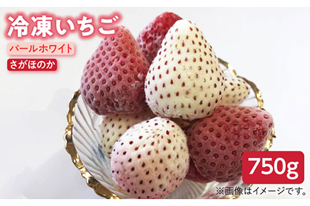 【R8年5月以降発送】【贅沢赤白食べ比べ】白石産冷凍いちご（さがほのか・パールホワイト）750g / いちご  [IAQ003]
