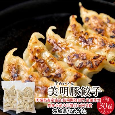 ふるさと納税 行方市 美明豚「びめいとん」のジューシー餃子 30個×2袋