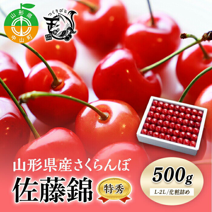 【ふるさと納税】《先行予約・期間限定》さくらんぼ 佐藤錦 特秀 L-2L 500g《化粧詰め》数量限定 山形県産 サクランボ フルーツ 果物 くだもの F4A-0069