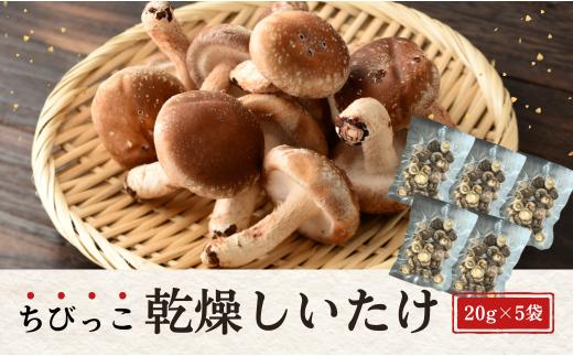 大分県産 しいたけ 津久見で育てたちびっこ乾燥しいたけ 20g×5袋 　|　津久見市 干し椎茸 菌床しいたけ きのこ 小粒 国産 産地直送
