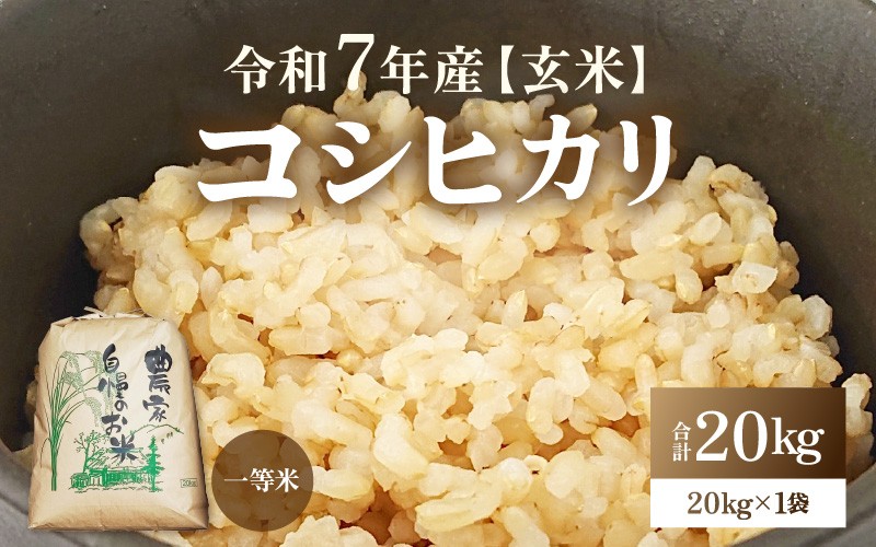 
            【先行予約】【令和7年産・新米】コシヒカリ 玄米 20kg / 米 こしひかり コシヒカリ 福井県 新米 一等米 玄米 あわら市 福井県 ※2025年9月下旬より順次発送予定 [aw096-d001]
          
