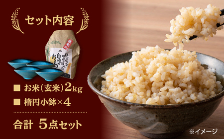 【令和5年産：玄米】 特別栽培米 コシヒカリ （2kg） + 【美濃焼】 青輝貫入 楕円小鉢 （4枚） 【山松加藤松治郎商店】[TEU042]