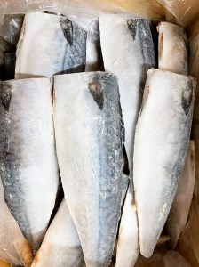 【ご家庭用】塩さばフィレ3.5kg | 鯖 サバ サバサバ サバ サバ  焼き魚 おかず 惣菜 冷凍 切り身〇