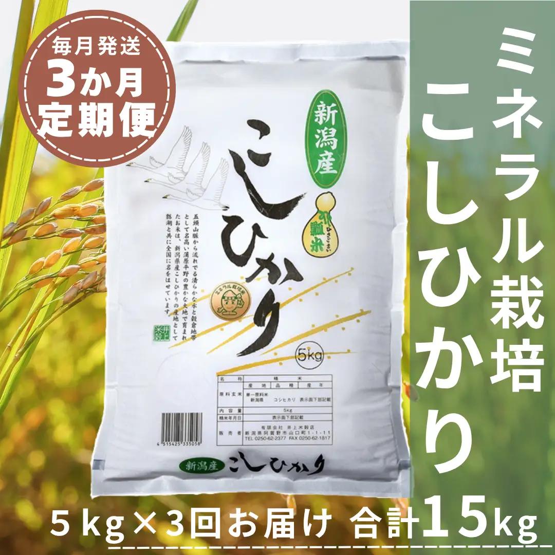 【令和7年産】3ヶ月定期便 ミネラル栽培こしひかり 5kg×3回 計15kg 白米 精米 井上米穀店  新潟県 米 こめ コメ 1I12040
