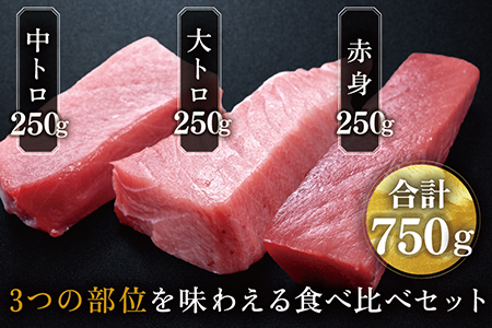 【冷蔵】絶品！生本マグロ セット 大トロ 250g + 中トロ 250g + 赤身 250g　（すべて柵どり）