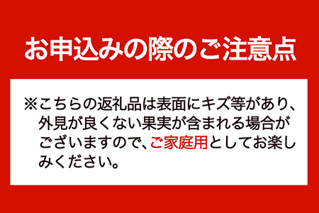 はっさく 皮むきに便利なムッキーちゃん付き 約10kg ときわオンライン《12月上旬-3月中旬頃出荷》 和歌山県 紀の川市 フルーツ 果物 八朔 柑橘 送料無料