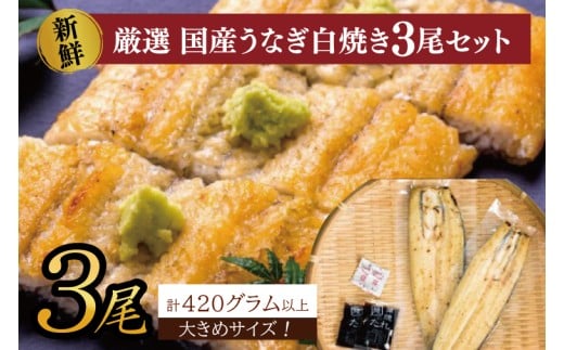 大きな国内産うなぎ白焼(酒蒸し)140～160g×3尾　計420g以上｜うなぎ 鰻 ウナギ 国産 国産うなぎ 白焼き 白焼 酒蒸し 土用の丑の日 丑の日 茨城県 行方市(AD-147)