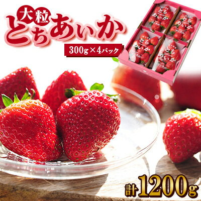 【ふるさと納税】いちご生産量日本一栃木県産【春いちご】大粒『とちあいか』(300g×4パック)_ いちご 苺 とちあいか 大粒 食べ比べ 人気 おすすめ 送料無料 贈答 ギフト 栃木 佐野 冷蔵 春いちご 【配送不可地域：離島】【1495823】