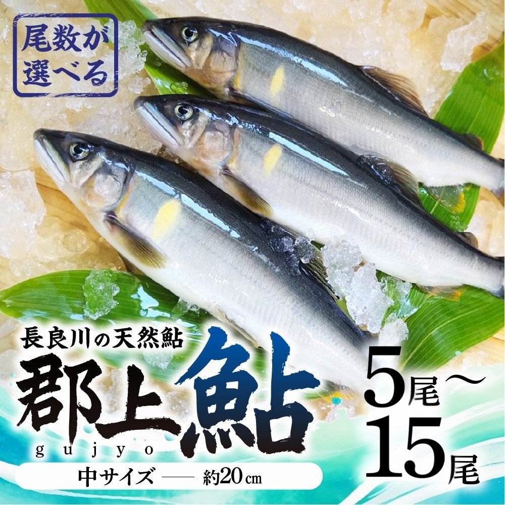 【ふるさと納税】【尾数が選べる】郡上鮎 長良川の天然鮎 中サイズ(約20cm) 5尾～15尾 / 食品 魚介類 水産加工品 その他水産物 鮎 アユ 10000円 15000円 20000円 30000円