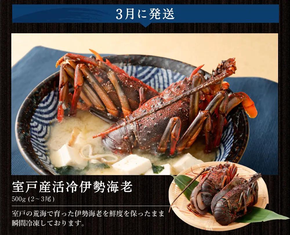 【10回お届け定期便】タカシン水産 人気 定期便 FN-Limited-PR
