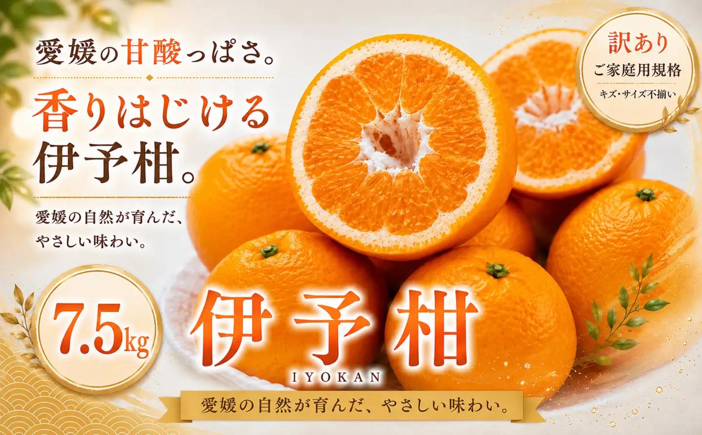 ＜訳あり 愛媛県産伊予柑 合計約7.5kg＞『2027年1月上旬～2月下旬迄に順次出荷予定』 爽やか いよかん ジューシー 甘い あまい 果汁 果物 くだもの フルーツ みかん オレンジ 柑橘 人気柑橘 特産品 株式会社OSN 愛媛県 西予市 【常温】OOS0047