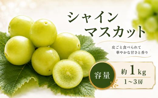 先行受付 シャインマスカット 容量 約1kg 1～3房 【2026年9月上旬～11月上旬発送】［新規就農者応援コース 幸作会］ | シャインマスカット ぶどう 葡萄 ブドウ 生産者応援 果物 フルーツ 令和8年産［K-40］