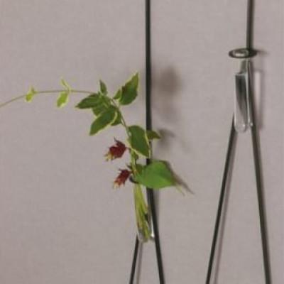 ふるさと納税 足利市 ALART〈アルアート〉　Strings　SMセット(Strings　S・M　各1個) 壁面用花器　 |  | 03