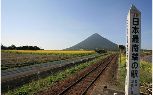 ≪返礼品なし≫鹿児島県指宿市への応援寄附金(1口：1,000円)001-153