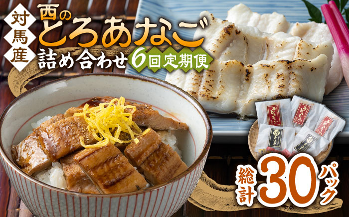 
                  【全6回定期便】対馬産 穴子 詰め合わせ 5PAC《 対馬市 》【対馬水産株式会社】対馬 新鮮 とろ あなご ふわふわ 煮穴子 冷凍 海鮮 [WAV007]
                