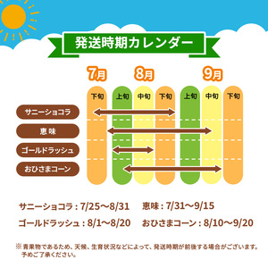 とうもろこし 伊那市産 スイートコーン 約5kg 2Lサイズ 12本入り 恵味 めぐみ 【013-52】