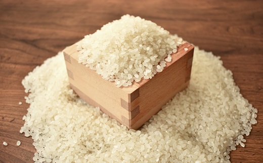 【定期便】長老米 10kg×3カ月連続 総量30kg 京都 京丹波町産 米 コシヒカリ 清流育ち 栽培地域限定 ※北海道・東北・沖縄・その他離島は配送不可