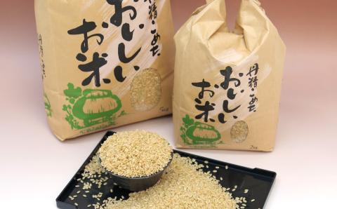 【淡路夢ファーム】　コシヒカリ（玄米）１０キロ