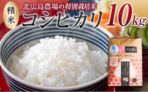 北広島農場 特別栽培米 コシヒカリ 精米10kg 2025年産米 米どころ北広島町のおいしいお米_NI083_005