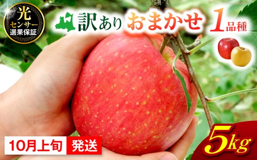 【2026年10月上旬発送】 【訳あり】 旬の美味しい りんご 約5kg 青森産 【おまかせ1品種】