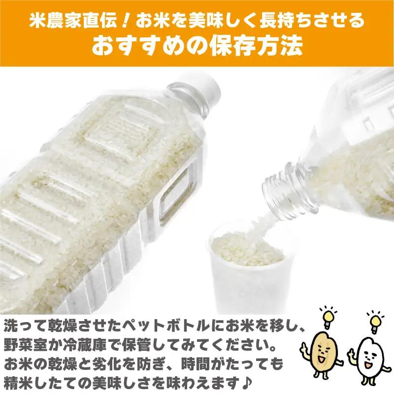 【 お米 】 定期便 6回 米 ヒノヒカリ 5kg 令和8年産