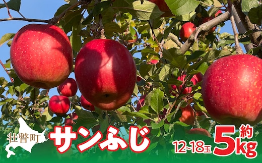 
										
										＜2024年12月上旬よりお届け＞北海道壮瞥町 りんご 品種名「サンふじ」12～18玉約5kg SBTF007
									