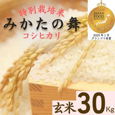 ふるさと納税 宍粟市 玄米 30Kg コシヒカリ「 みかたの舞 」 特別栽培米　P17