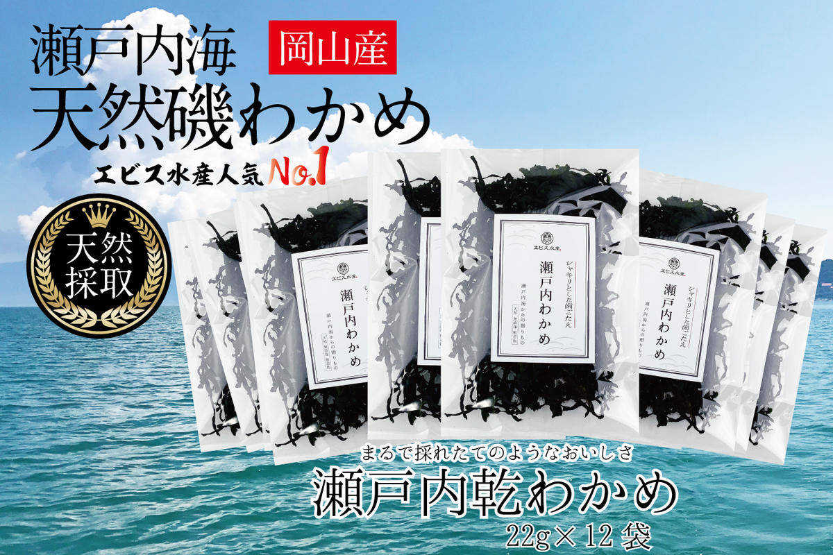 風味豊かな 瀬戸内 わかめ 22g×12袋 エビス水産【岡山 瀬戸内海 天然 カットわかめ】