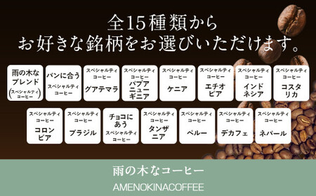 【雨の木なコーヒー】【ペーパーフィルター用挽き豆】 スペシャルティコーヒー豆 2袋 ご家庭用