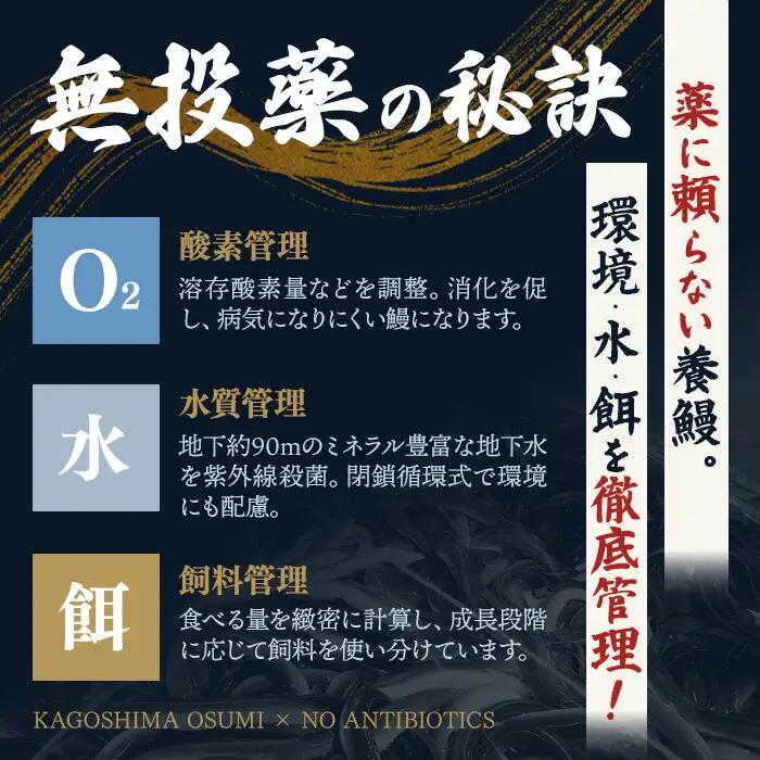うなぎ 鹿児島県産 蒲焼 うなぎ 【薩摩川内鰻】 A1115