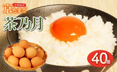 純国産種鶏の京たまご 「茶乃月」40個入 （たまご 玉子 生卵 たまごかけご飯 国産たまご こだわりたまご 産みたてたまご