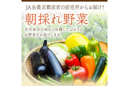 直売所直送 【訳あり】「京都・京丹後産 季節の野菜」お任せ詰め合わせBOX（3品）＋コシヒカリ精米1kg 定期便3回
