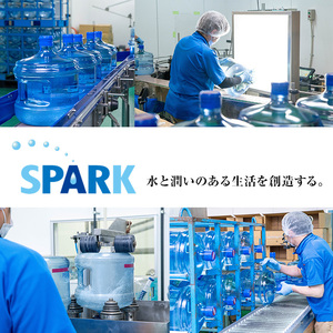 5年保存水 非常災害備蓄用 (計24L・500ml×48本) 水 天然水 災害対策 防災 非常時保存用 長期保存 常温 常温保存 ペットボトル 長期保存水 備蓄水 備蓄用 非常災害備蓄用 地震 災害用