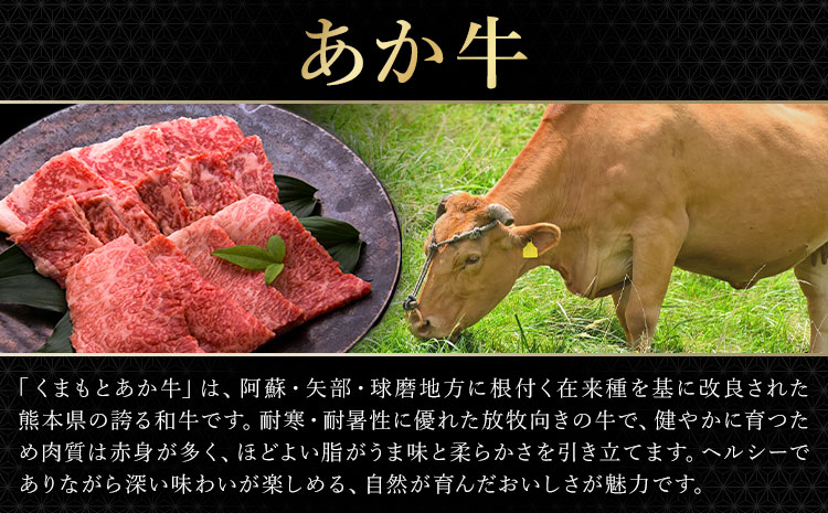 あか牛＆黒毛和牛ミックス牛肉切り落とし 500g 熊本県畜産農業協同組合《60日以内に出荷予定(土日祝除く)》熊本県 産山村 くまもとあか牛 くまもと黒毛和牛 切り落とし 牛肉 肉 熊本県産 和牛 あ