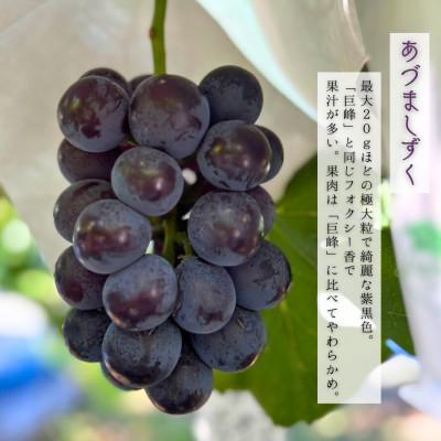 ふるさと納税 岸和田市 大阪産夏一番ぶどうあづましずく1房と泉州水なすぬか漬け3個 計2kg |  | 01