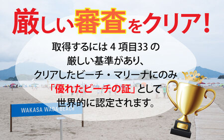 BLUE FLAG Tシャツ S 