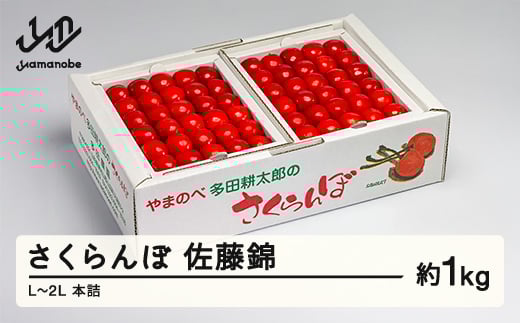 《先行予約》2025年 山形県産 佐藤錦 本詰 約1kg L~2L やまのべ多田耕太郎のさくらんぼ サクランボ F20A-053