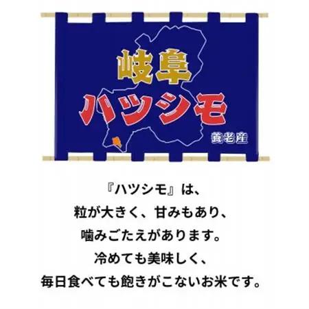 令和7年産　岐阜ハツシモSL　玄米　10kg【1688832】