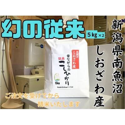 ふるさと納税 南魚沼市 地元の人に愛され続けている昔ながらの従来コシヒカリ 10kg　新潟県南魚沼産
