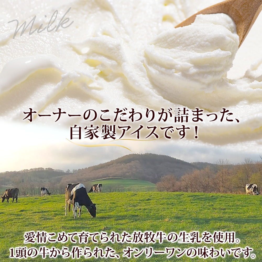 3224. 牧之瀬牧場 自家製アイス 濃厚ミルク チョコ 2種 各3個 計6個 ミルク チョコ フレーバー オリジナル  牧場 手作り セット おやつ デザート ギフト 送料無料 北海道 弟子屈町_イ
