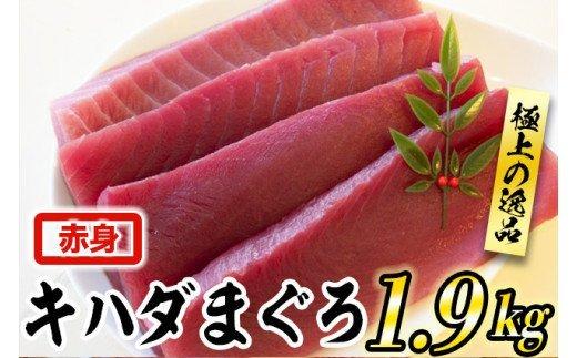 【訳あり】キハダまぐろ赤身1.9ｋｇセット