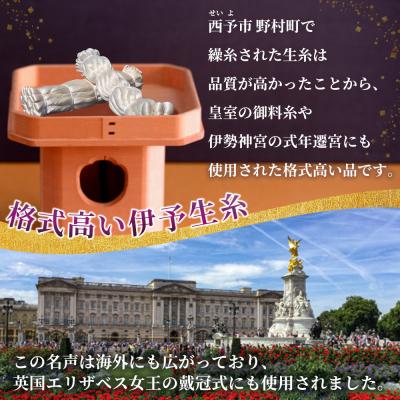 ふるさと納税 西予市 <伊予生糸(31デニール糸)約1kg> 国産 伊予生糸 いよいと 伊予 生糸 国産生糸 西予産 |  | 01