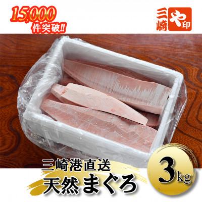 ふるさと納税 三浦市 【復活!!】これを選べば間違いなし!とにかくたくさん食べたい人に!三崎の天然鮪3kg