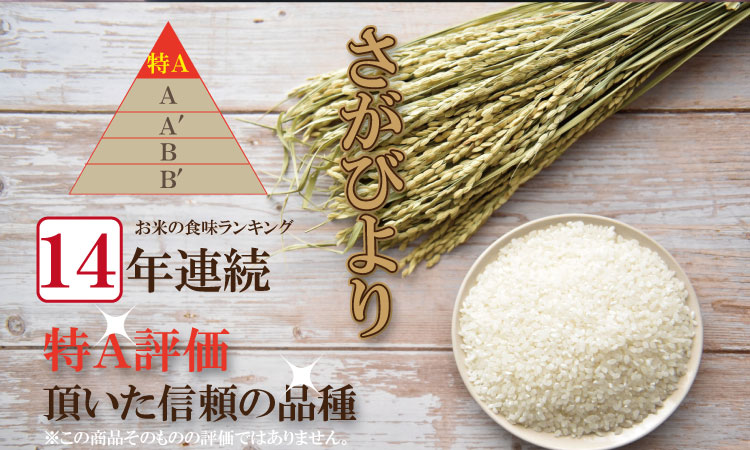 【4月配送】佐賀ブランド米「さがびより」１０ｋｇ（5ｋｇ×２）潮風F