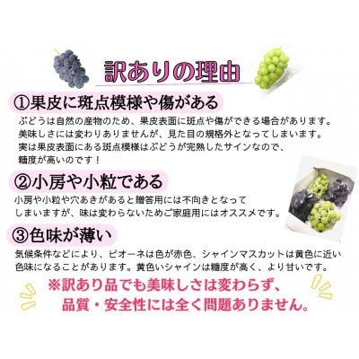 【2025年先行受付】訳あり品フルーツ王国岡山の人気ぶどう　ピオーネ1房500g以上!【配送不可地域：離島】